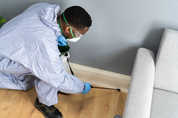 Best Real Estate Pest Inspections  in Franklinton, LA